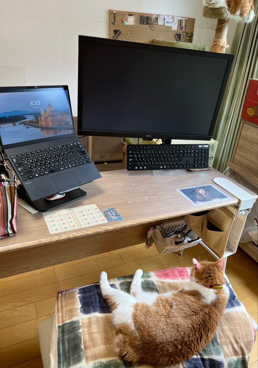 deedlit_DQX's tweet photo. 猫がお仕事イスを占拠してるんで遅刻します https://t.co/VaYvqe8ktU