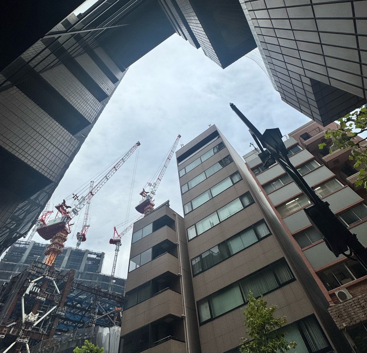 centurydaiso's tweet photo. おはようございます
東京・赤坂の天気は☁️

今朝は涼しく、肌寒いくらいの朝でした
ようやく雨も降らない秋らしい気候を感じることができますね🍁
寒暖���には気をつけましょう☺️

本日もよろしくお願いいたします🤲✨
#企業公式が毎朝地元の天気を言い合う
#企業公式が朝の挨拶を言い合う
#いまそら https://t.co/7Ufk1TSjXd