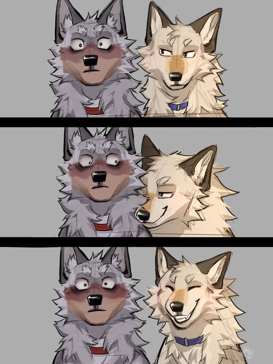 _ExcaliburWolf's tweet photo. Jerry and Tom https://t.co/sH3ZtovMJj
