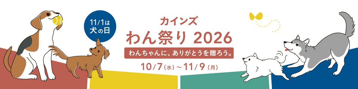 cainz_san's tweet photo. 本日からカインズ「わん祭り2026」がはじまりました！🐕🎉いつも私たちのくらしに、たくさんの笑顔を届けてくれるわんちゃんへ。そして、大切な家族として愛情を注ぐみなさまへ。カインズでは本日10月7日から約1か月間「わん祭り2026」を開催します！わんちゃんへの「ありがとう」をこの機会に形にしてみませんか🐾おすすめアイテムやイベントなど、わんちゃんと楽しめる企画が盛りだくさんです！