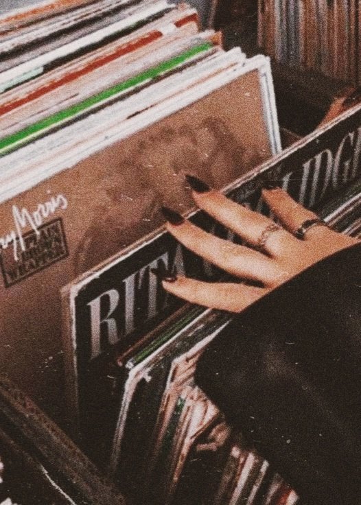 pitifulmercies's tweet photo. ㅤㅤㅤㅤㅤ
                          AERIS KIM.
                  record store owner.
                  guitarist. performer.
                  bisexual. switch. 21+
                  dual fc. plot friendly. https://t.co/eVsZCpAOQK