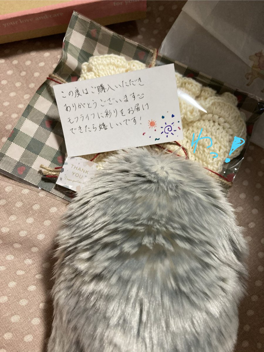nocmofruku1110's tweet photo. まろすけ（@maro_0701_ ）さんから「おぱんちゅ」届きました！！ https://t.co/KTEtJA4ems