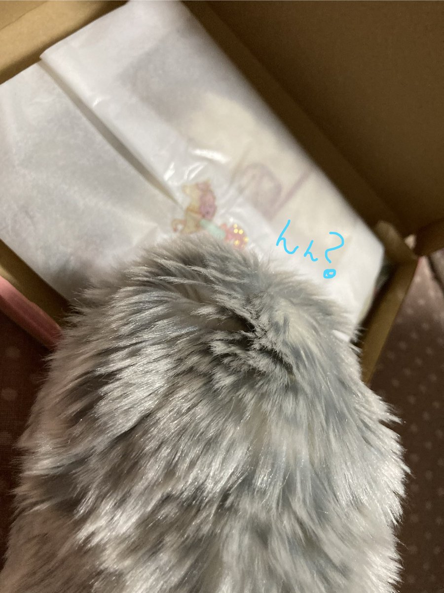 nocmofruku1110's tweet photo. まろすけ（@maro_0701_ ）さんから「おぱんちゅ」届きました！！ https://t.co/KTEtJA4ems
