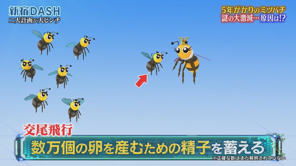 Playasakar's tweet photo. 今日も一日✄🍌 https://t.co/zhFTtK8e0u