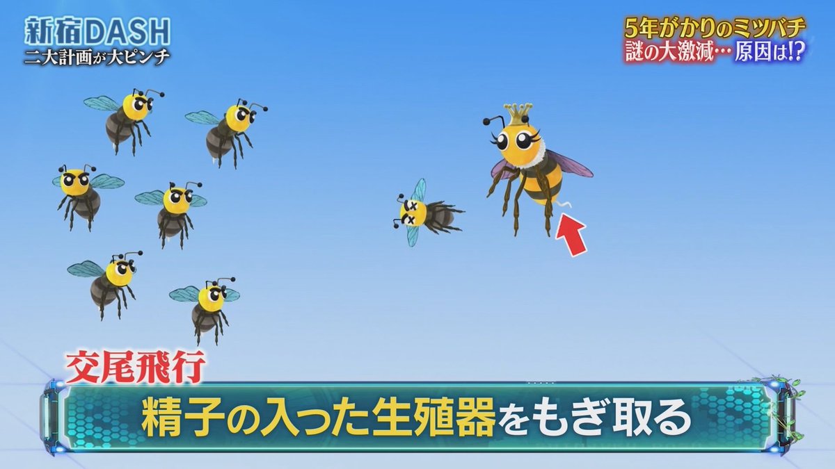 Playasakar's tweet photo. 今日も一日✄🍌 https://t.co/zhFTtK8e0u
