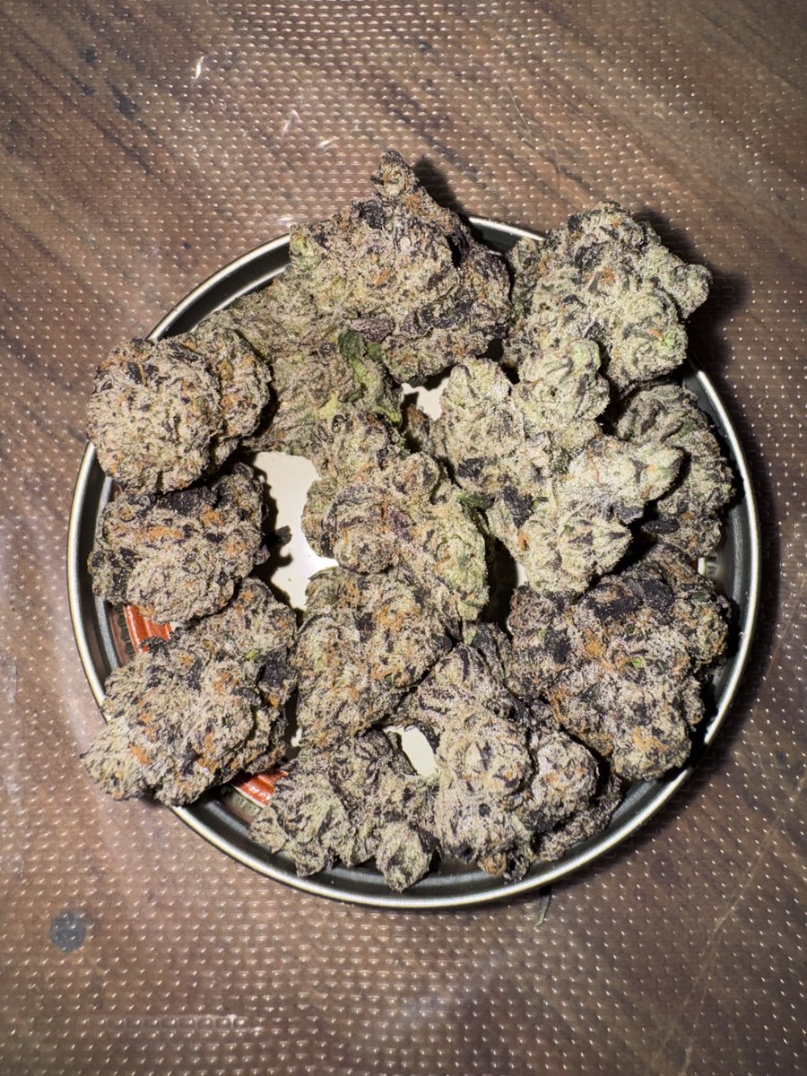 TEXMEDZ's tweet photo. Blue Chowder 🌀🫐 https://t.co/Y1QA3iqiOV