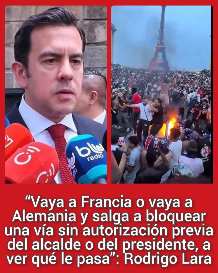 ShidarthaInvest's tweet photo. Qué alguien le diga a este BRUTO que vivimos es en COLOMBIA,en Francia o Alemania no sería ministro por el solo hecho de aliarse con los ASESINOS de su señor PADRE. https://t.co/IbWyyyX7gY