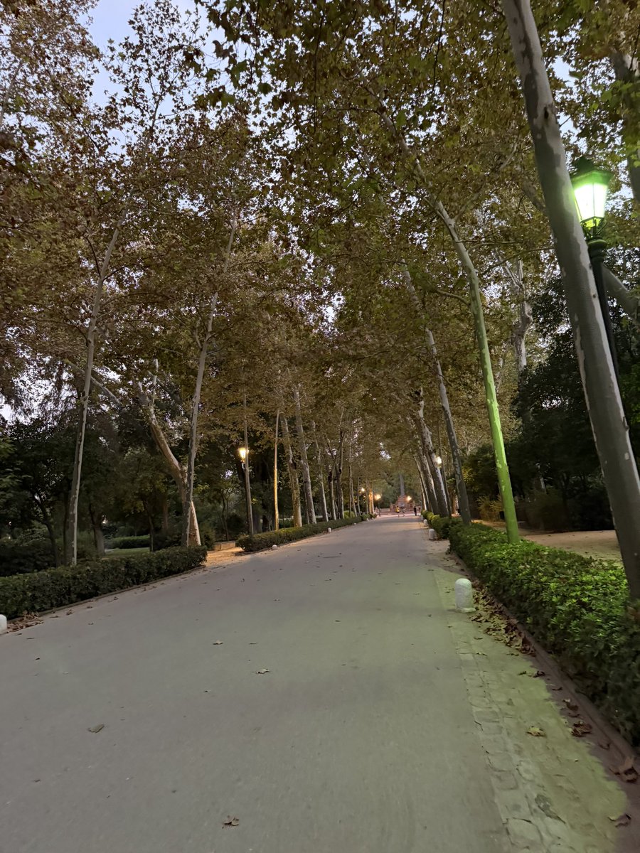 aphnan26's tweet photo. Lost in Seville🌴🍃 https://t.co/POX3F4LN0r