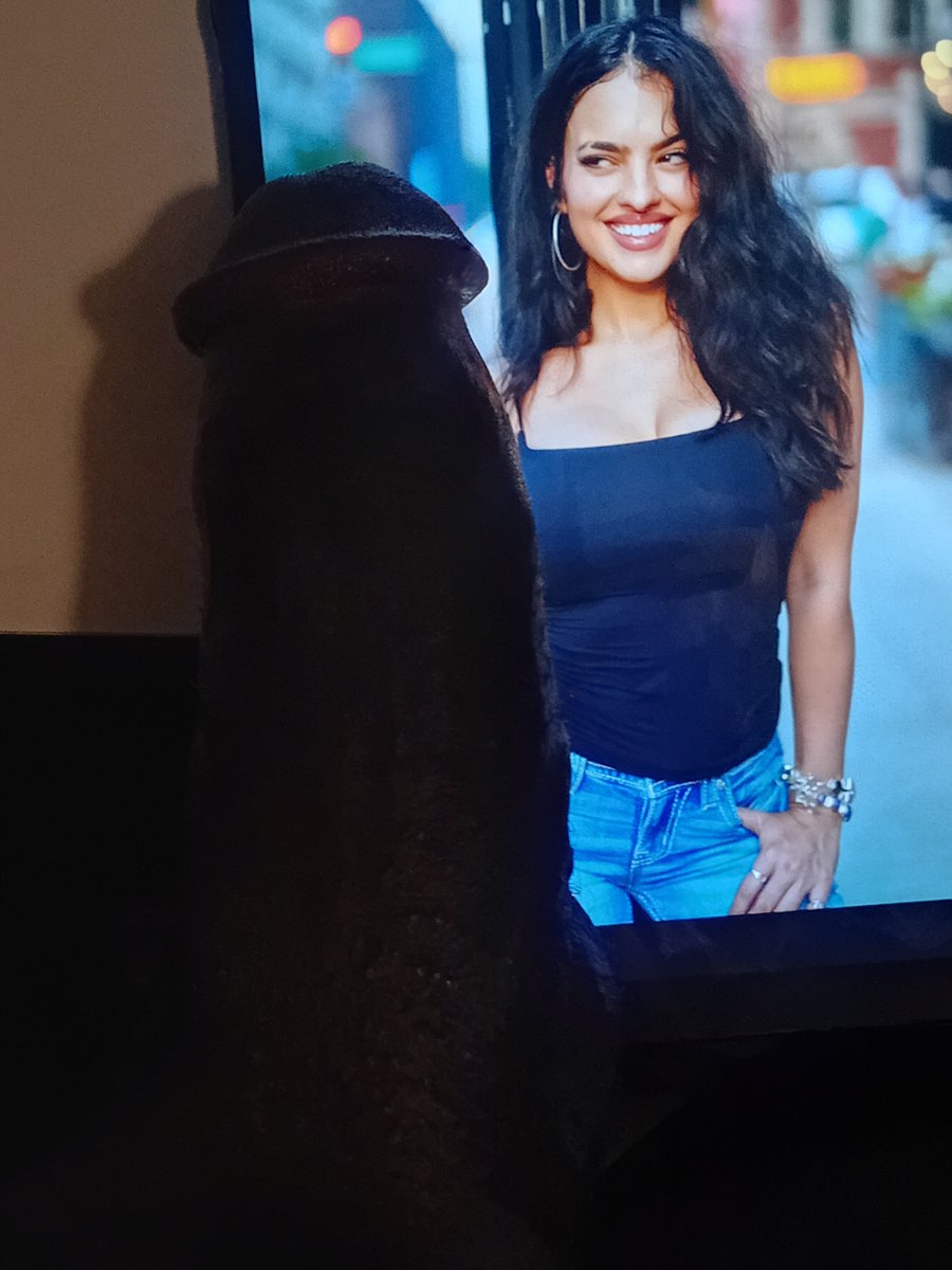 YELE300's tweet photo. Nina drama🤤🤤😋😋 #cumtribute #NSFW https://t.co/F6Q47qHfWE