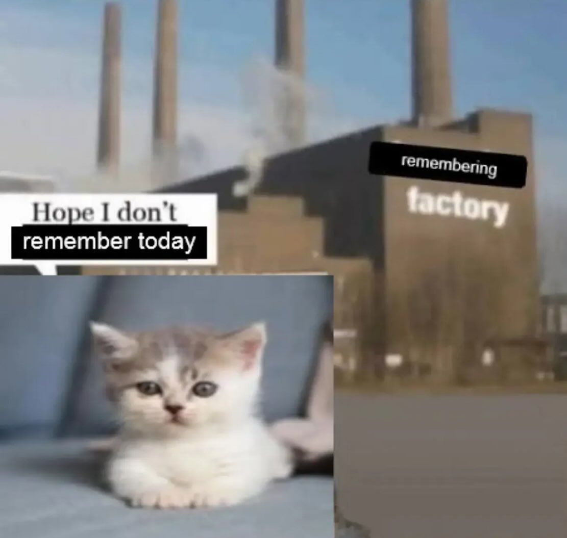 nocontextmemes's tweet photo. https://t.co/NfqsQZi69m