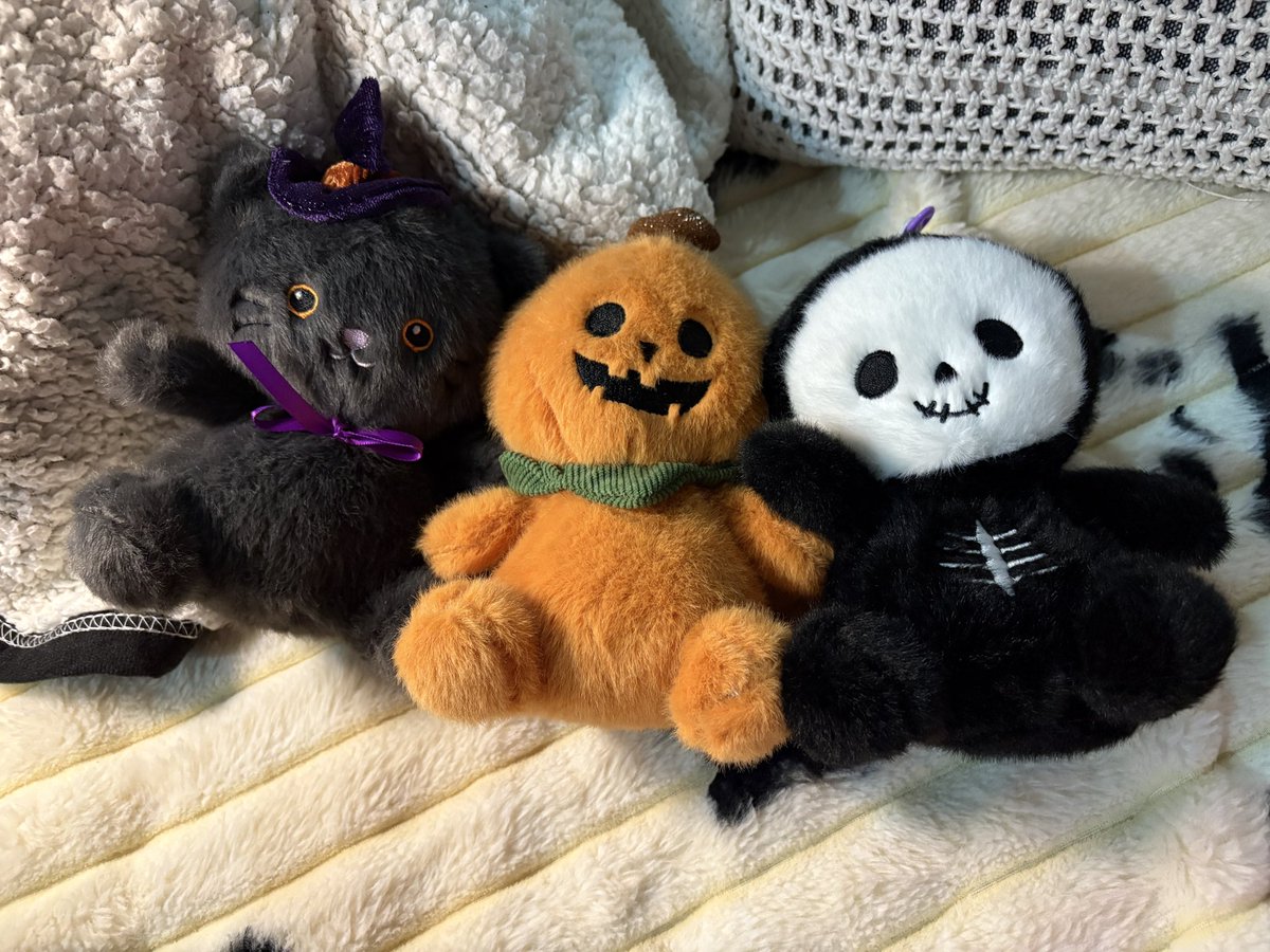 mmeluli's tweet photo. miren mis peluches de mostaza ojalá no vea esto ninguna twittera y se ofenda https://t.co/EJGfRTTMnO