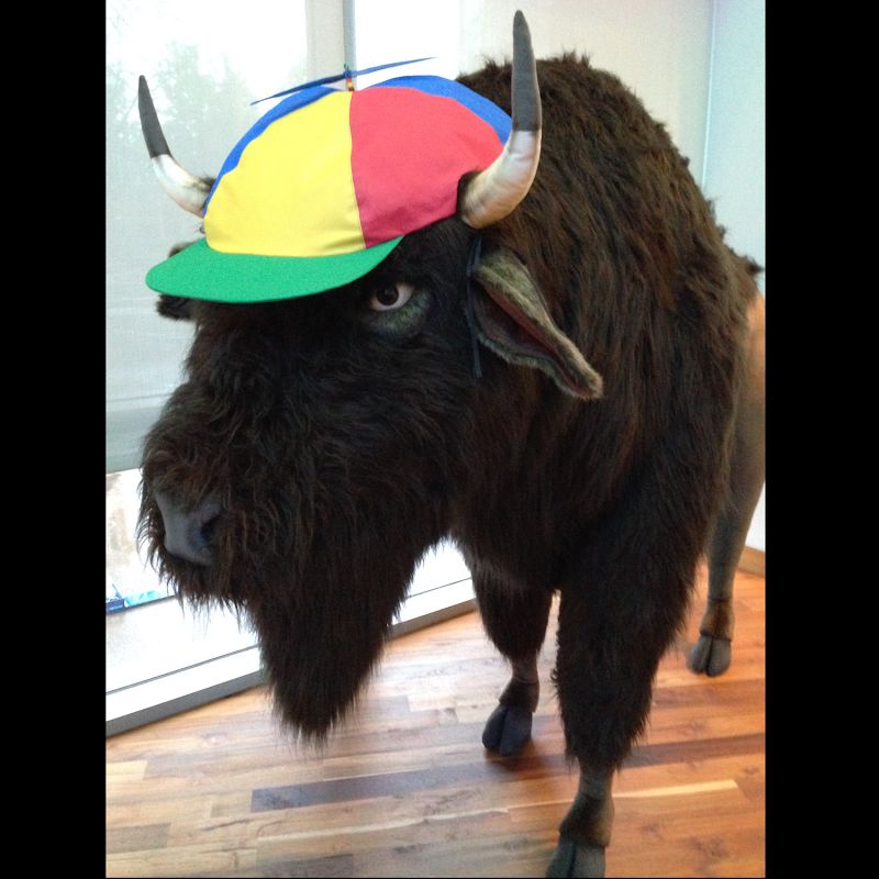 bvmuseum's tweet photo. To register for the Stampede 5K Race/walk or 1 Mile Fun Run/Walk, visit https://t.co/63vsqCtb8t  (save 10% with Coupon Code: FINAL10  thru Oct 9). Don't miss the fun! ❤️ https://t.co/wdNu83vttD