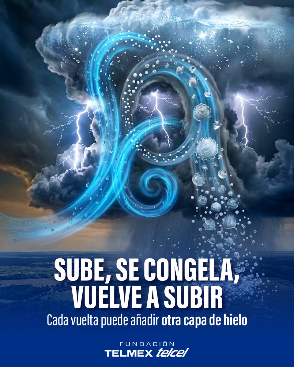 fundaciontelmex tweet picture