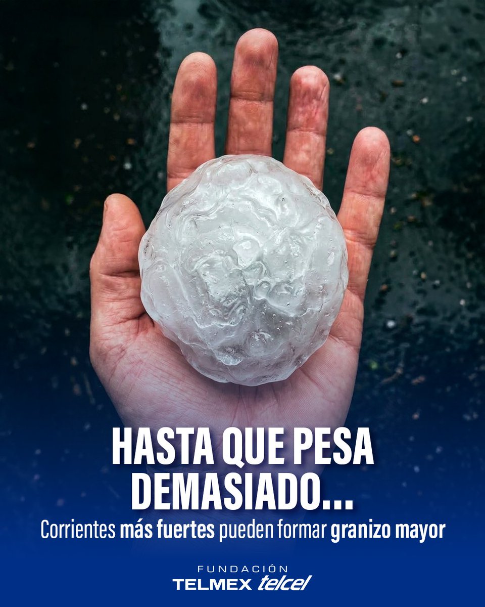fundaciontelmex tweet picture