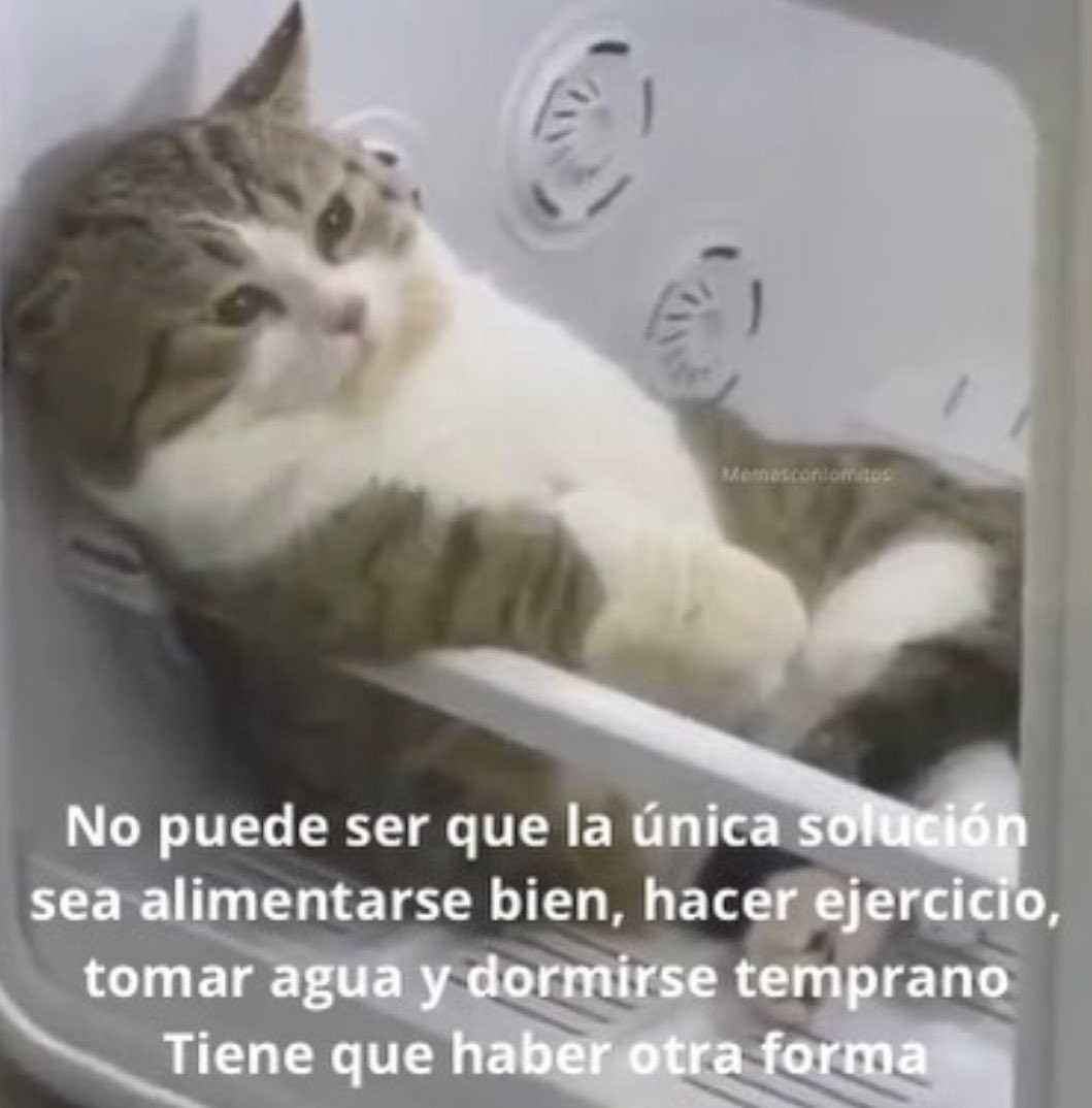 conoloracigarro's tweet photo. https://t.co/9WwMuIAQ22