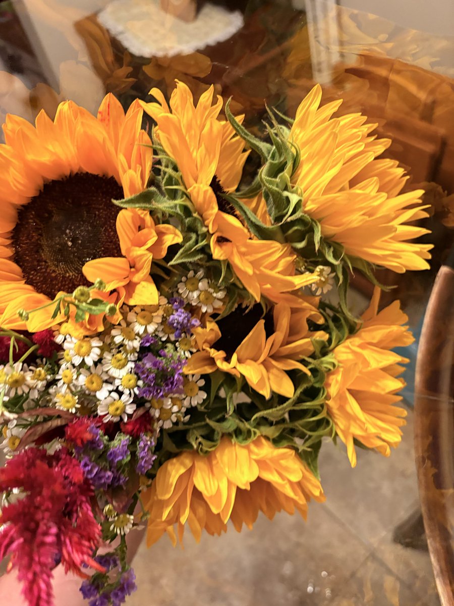 xoxomollyg's tweet photo. 🌐🌻🍂🍁 https://t.co/M0ShutYJme