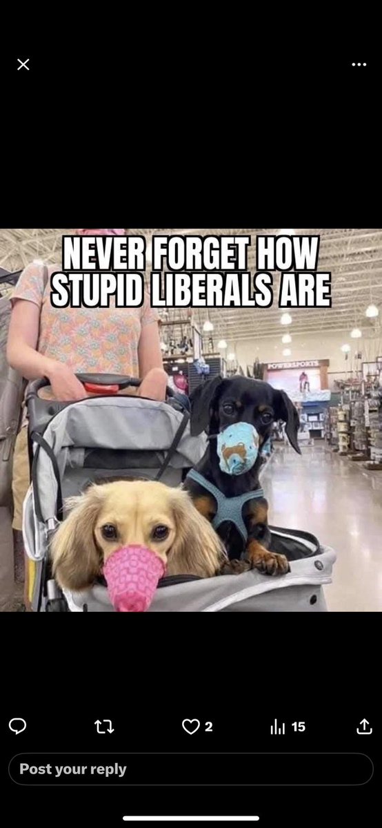 wilhweidemier's tweet photo. @RossyPrime Hahaha!😂 She shows how stupid she is every time she speaks! What a complete dumbass! https://t.co/5zvri5ffuL