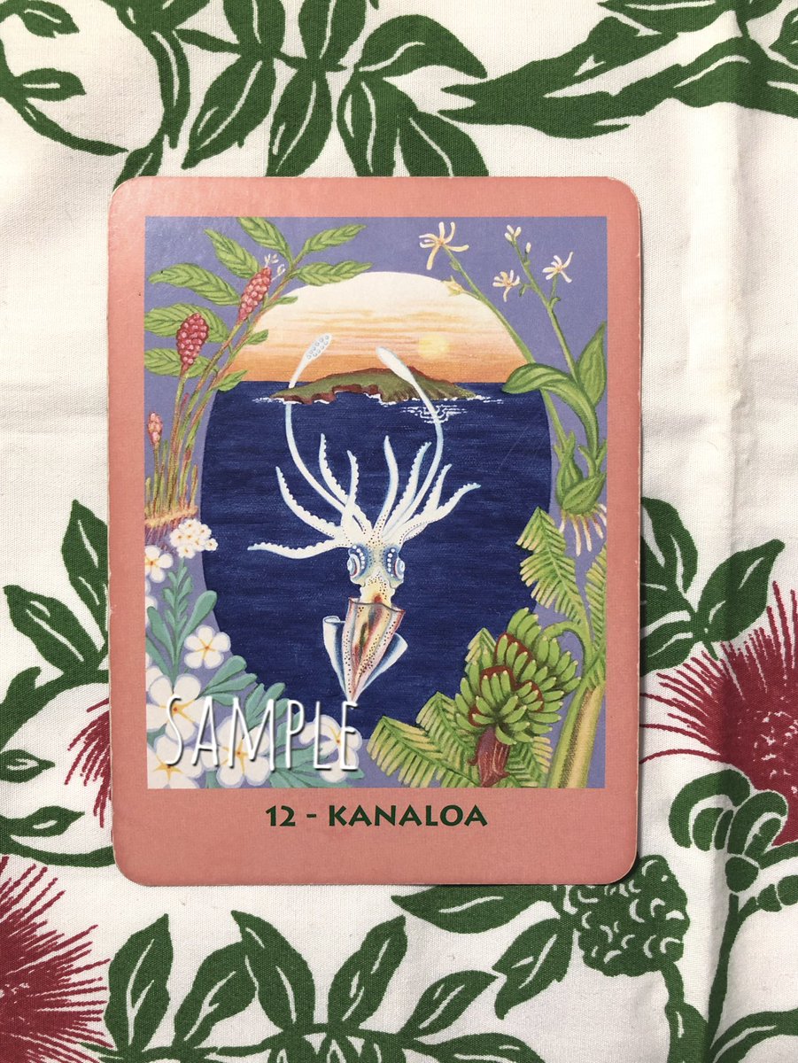 Birth_ofVenus's tweet photo. Aloha kakahiaka🌈#今日のメッセージ  はカナロア、月は11時52分乙女座♍️へ。貴方の基盤となる事は何か？を考えてみてね。潜在意識意識と顕在意識がリンクしているいいのですが、何故か遮断してしまってると我慢やストレスを抱えたりしますので😌
#愛ある一日を �� https://t.co/nYZRBtymWo