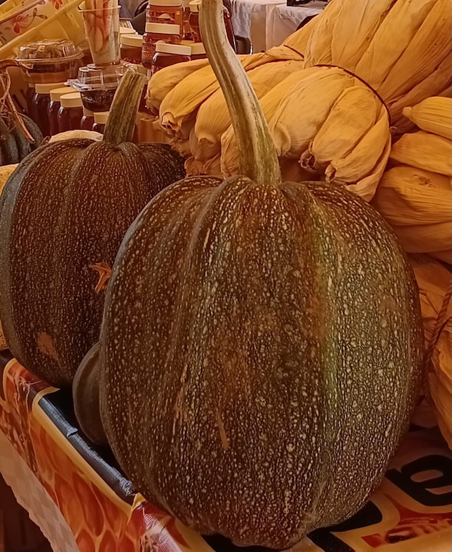 h_conexion's tweet photo. 🔴 #Entérate l 🎃 Productores de #Temamatla alistan sus mejores #calabazas para el tradicional concurso de #DíaDeMuertos. 🕯️💀 La noticia del día está aquí. ¿Te la vas a perder?👇 

https://t.co/eGsqZgVgrs https://t.co/V4KW4u4aUS