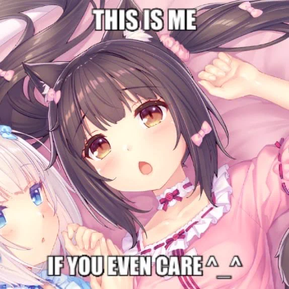 Reposts by ꒰^. .^꒱ (@uwu_owo_qwq) / X
