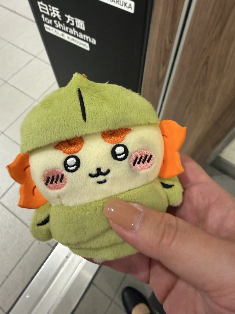 _kaochan_69's tweet photo. さっき天王寺駅でシーサーちゃん拾ったけど電車ギリギリで駅員さんに渡せなかったので必ず夜渡しに行きます。

多分そのまま置いてたら誰かに持って行かれそうだったので、、

駅員さんも近くにいなくてすぐ持って行けなくてごめんなさい。

落とした方に届きますように！！

#落とし物　#拡散希望 https://t.co/fb2bPZ4UXo