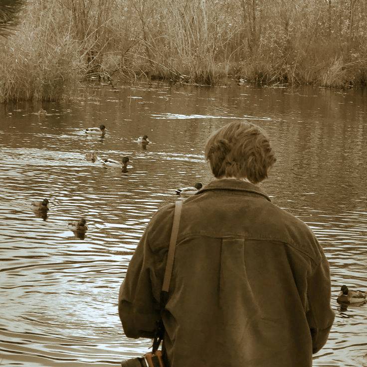 creepdiaries's tweet photo. resorting  to  videoing  ducks   . . .   they're  pretty  cute,  at  least. https://t.co/4kuRfzaqYK