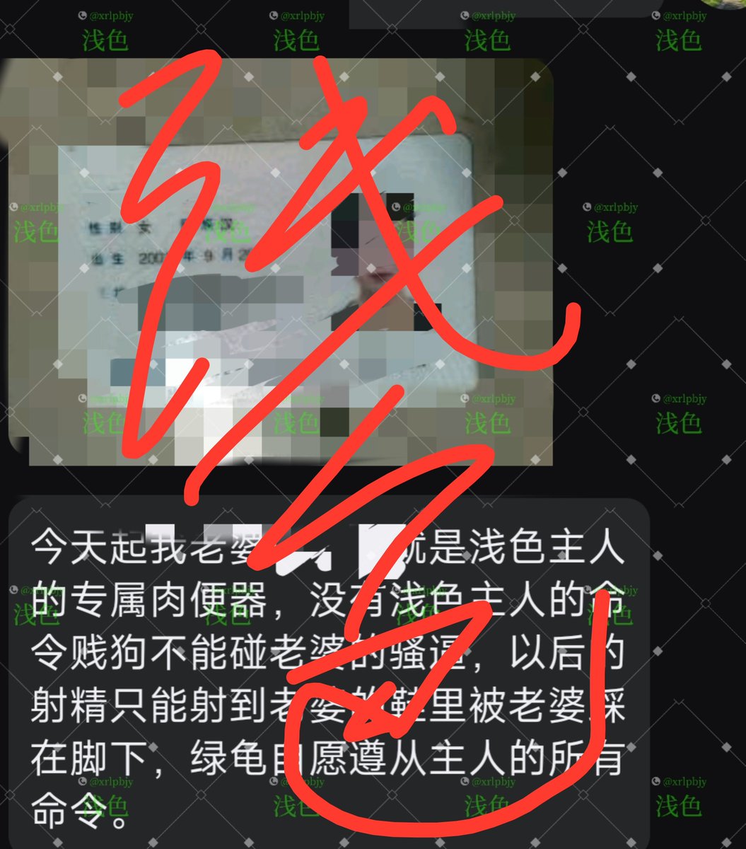xrlpbjy's tweet photo. 昨天玩的是真的有点累了，绿毛龟们也是有的超出预期，居然能提供四条素材，绿毛龟还是一如既往的强大 https://t.co/YCFNOG3maY