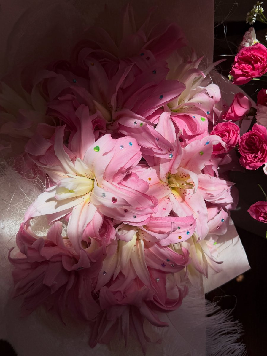 dreamyflowerrs's tweet photo. https://t.co/CgUOiHkJzq