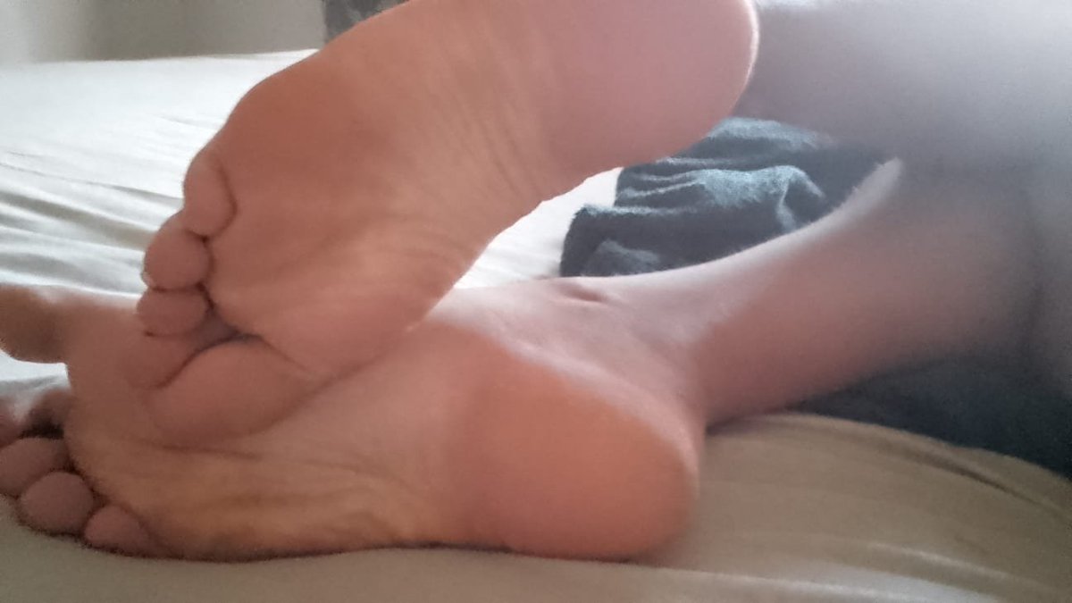 PunkRockCatte's tweet photo. Alright pervs, you know what to do. Go give me everything I deserve on my throne then come back and kiss my feet~

Maybe I'll sit on your face if you give enough~ https://t.co/We1kgbCAfp