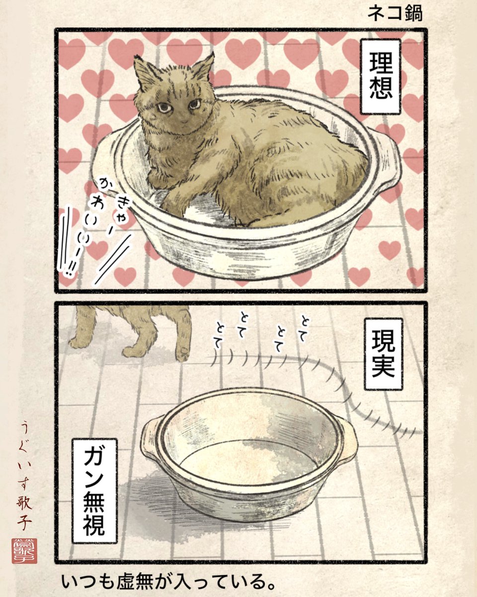 Motidukineko's tweet photo. おなーーべ https://t.co/ylOg3Zrn2k