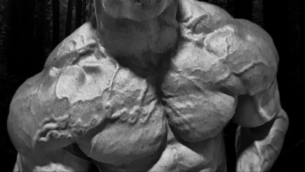 MaxSteelMuscle tweet picture