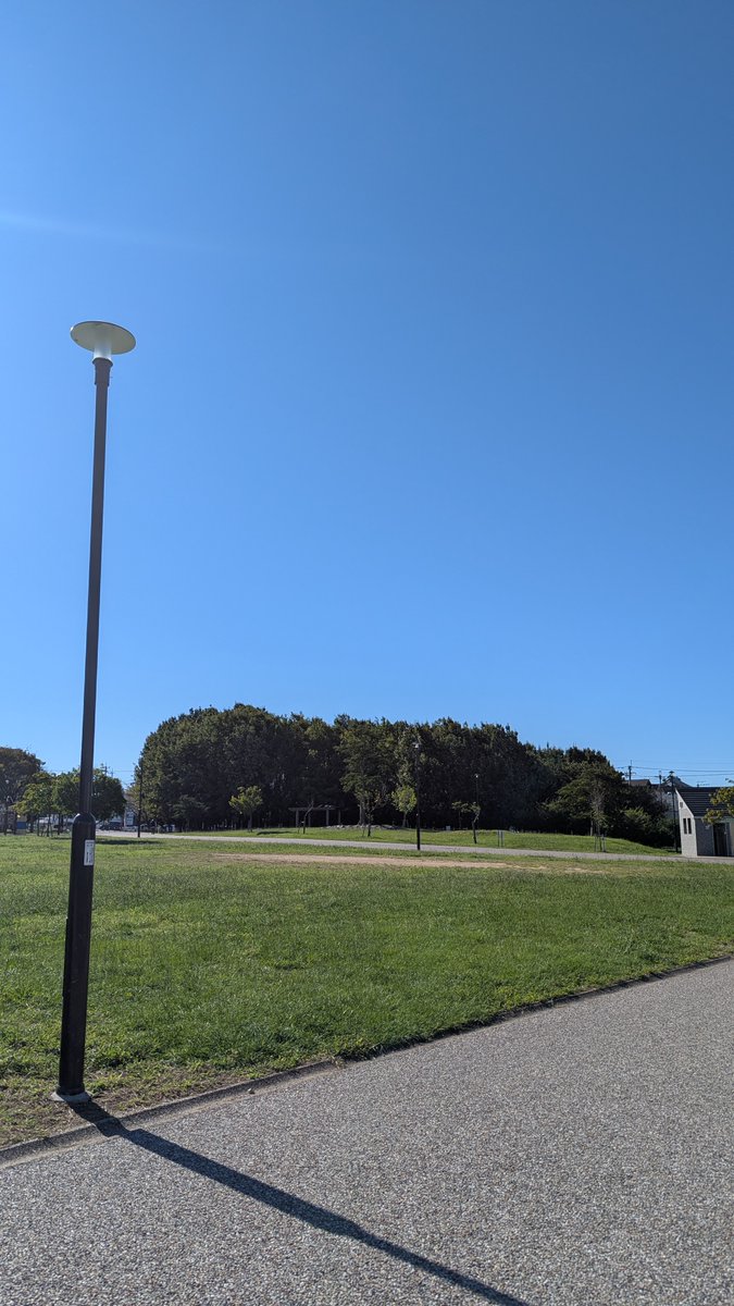 ONEGAME_ns's tweet photo. 今日の川名公園は快晴。
気持ちの良い朝です！ https://t.co/VS4PmIxi3o