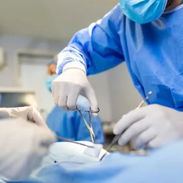 forumbunklr's tweet photo. 🚨 URGENTE: Está circulando em grupos bolsonaristas uma imagem atribuída a Flávio Bolsonaro em que o candidato supostamente defende a CIRCUNCISÃO OBRIGATÓRIA.

A suposta medida resultaria em MUTILAÇÃO nas genitálias de meninos recém-nascidos de TODO o Brasil! https://t.co/kwguhPkIZf