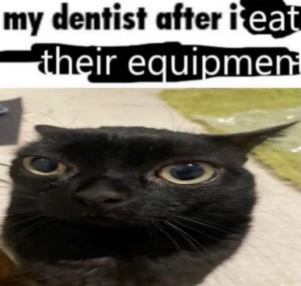 literallymecats's tweet photo. https://t.co/6MGglPSoHH