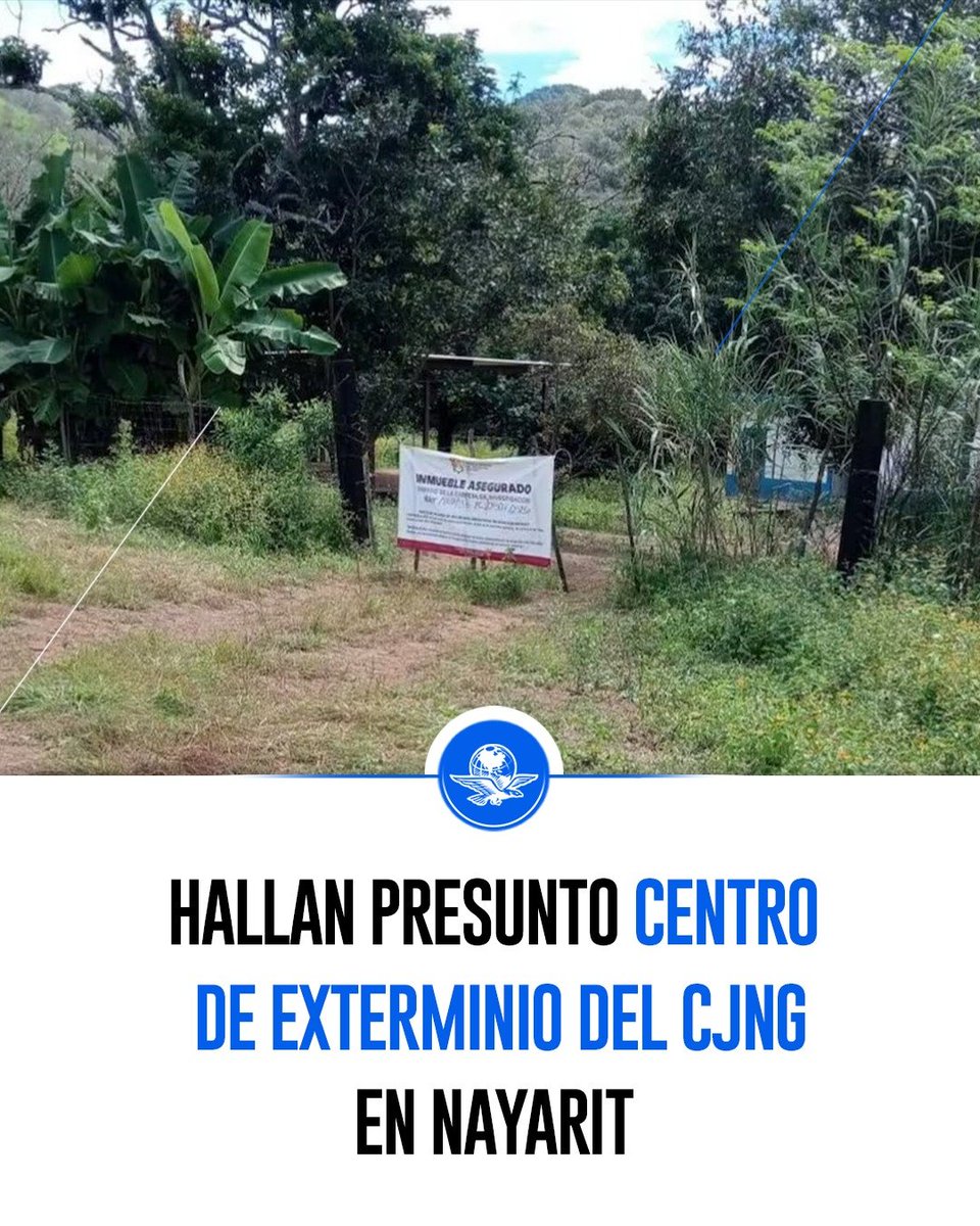 El_Universal_Mx's tweet photo. 🔴 Una denuncia anónima llevó a colectivos de búsqueda de desaparecidos y a la Fiscalía de Nayarit a un predio usado por el CJNG que la fiscal estatal, Ludmila Heredia, comparó con el Rancho Izaguirre.

📌 Heredia indicó que están procesando fosas, donde recolectan restos humanos desde el 3 de octubre. Han encontrado ropa y artefactos como un tambo y diésel.

https://t.co/uYgzw3XHHz