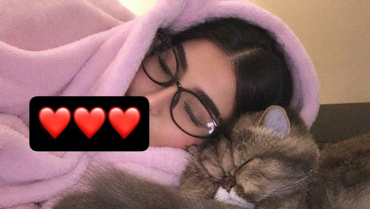 Butterfly_gh1's tweet photo. miss u 🐈. https://t.co/QDAbCa2t3d