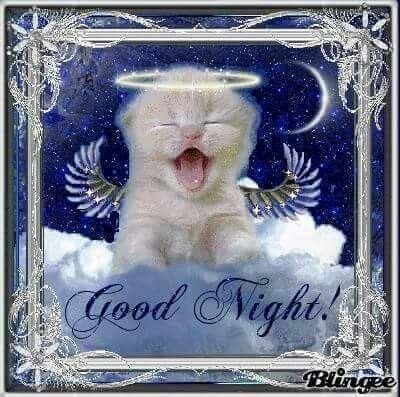 SIIlL1EncCe's tweet photo. https://t.co/3OrdGGrso5