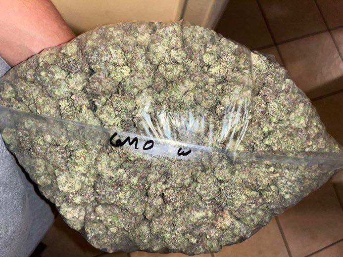 _Exoss_'s tweet photo. Active Delivery 📲
Weed Phoenix weed Glendale weed Peoria Weed Surprise weed Sun City Weed Sun City West Weed El Mirage weed Youngtown Weed Tolleson weed Litchfield Park Weed Goodyear weed Avondale Weed Buckeye weed Wickenburg Weed Wittmann https://t.co/j793GQtVTD