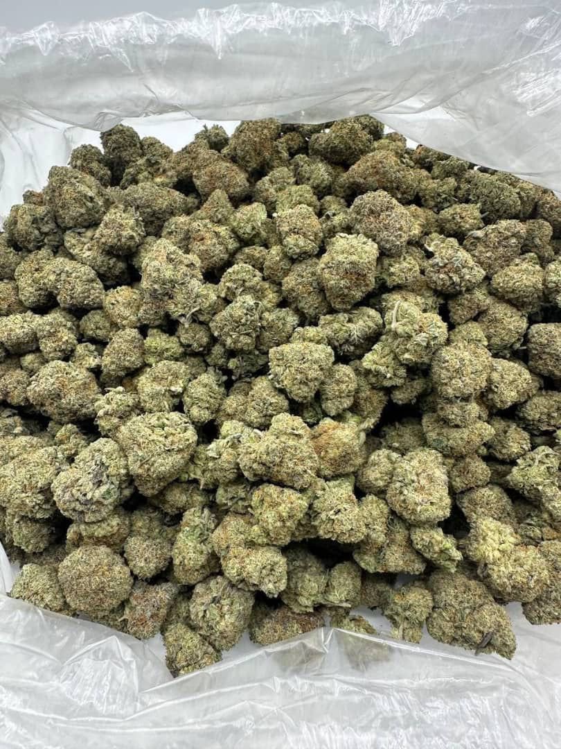 _Exoss_'s tweet photo. Active Delivery 📲
Weed Phoenix weed Glendale weed Peoria Weed Surprise weed Sun City Weed Sun City West Weed El Mirage weed Youngtown Weed Tolleson weed Litchfield Park Weed Goodyear weed Avondale Weed Buckeye weed Wickenburg Weed Wittmann https://t.co/j793GQtVTD