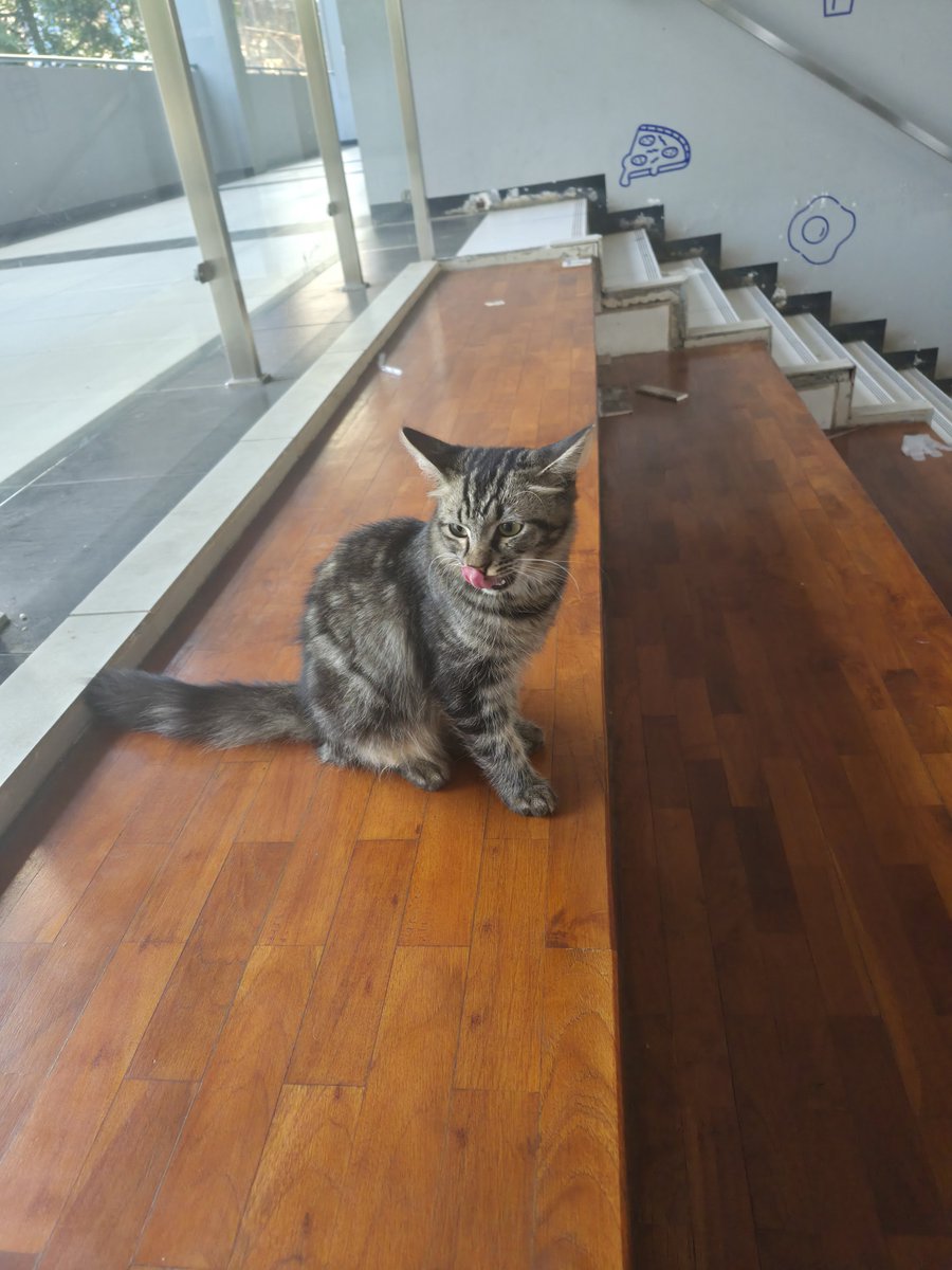 strawbmustard's tweet photo. gw baru duduk tiba tiba dia dateng dari bawah????????? https://t.co/93fzg6MxEn