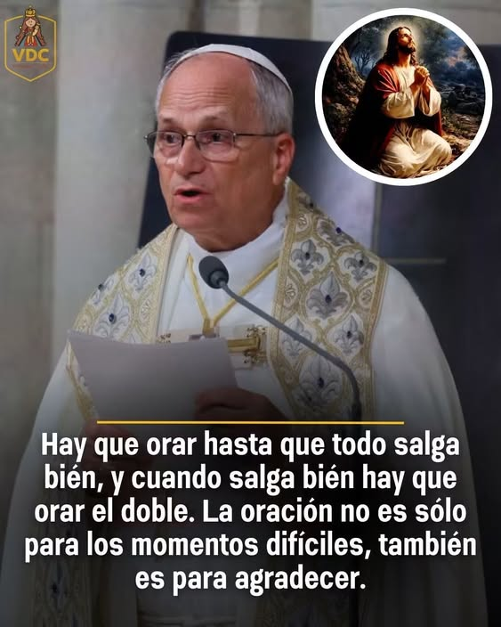liderSanAlfonso's tweet photo. https://t.co/RlJ1jdtbnj