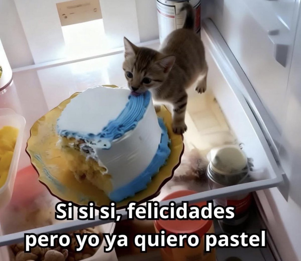 Guarromantico_'s tweet photo. Yo en las fiestas. https://t.co/ogBU4WHkkl
