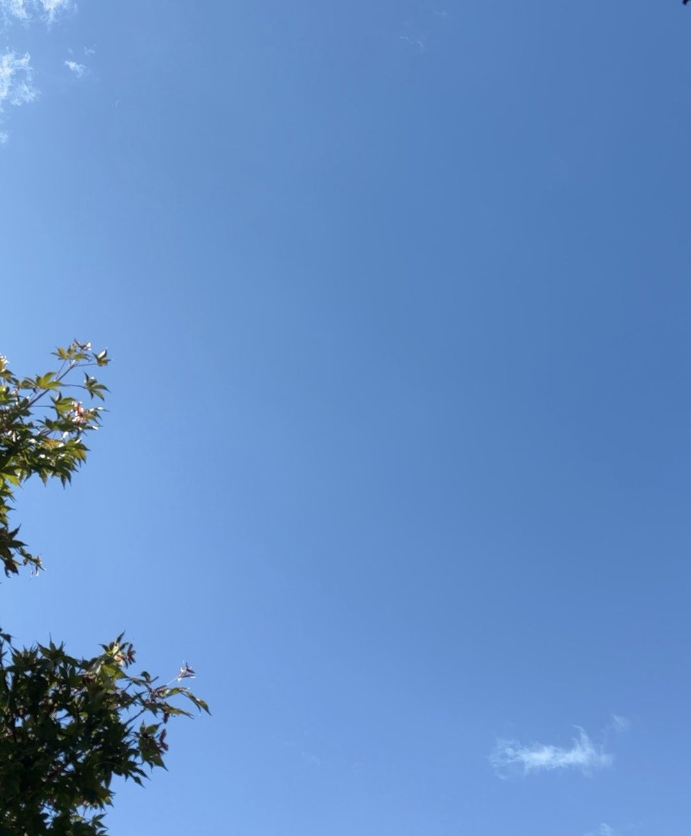 s_ps679's tweet photo. 今日を生きるあなたへ。
どうか、ひと息つけますように🍃

#イマソラ https://t.co/Zvtpvx6AdC