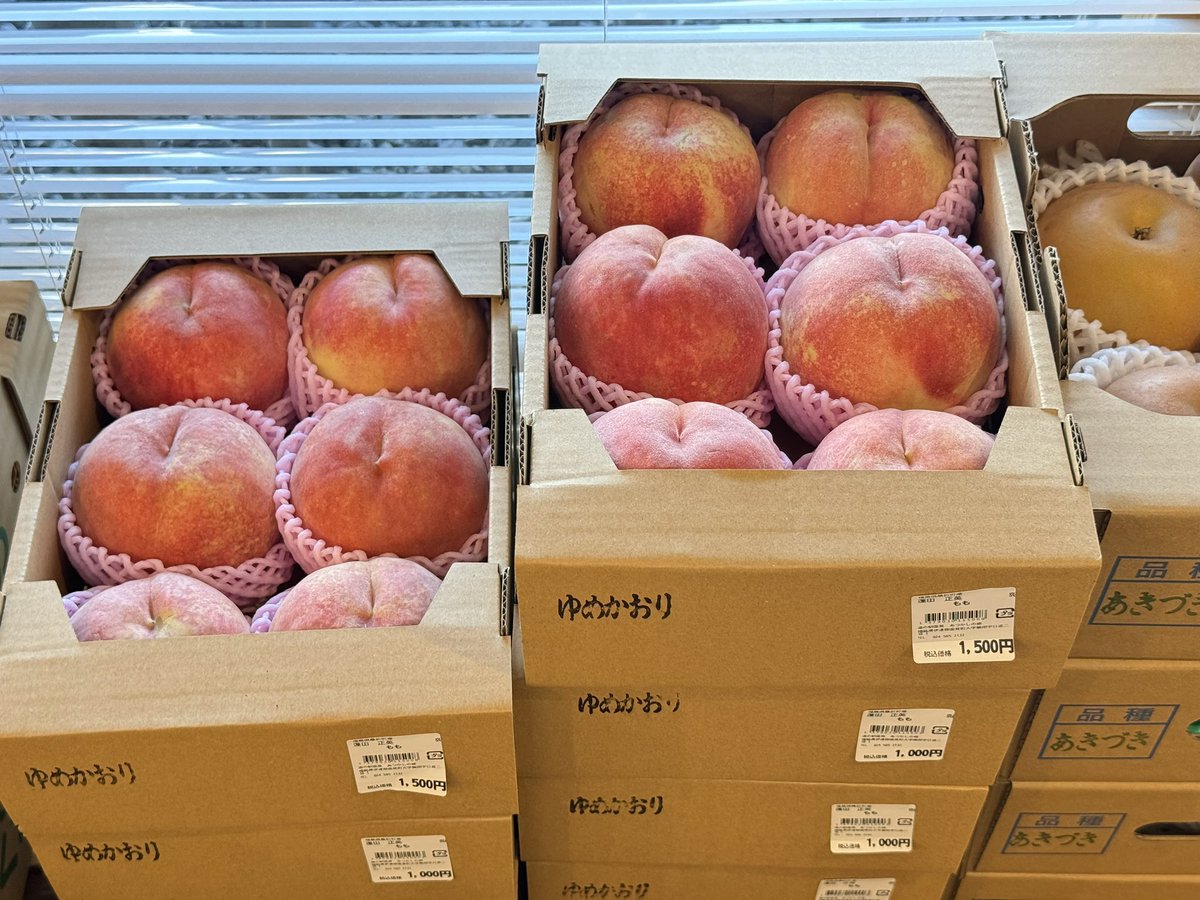 michinoeki923's tweet photo. 🍇ぶどう➞あるんだなぁ
🍎りんご➞あるんだなぁ
🍐梨➞あるんだなぁ
🍑桃➞あるんだなぁこれが
🦪牡蠣➞今日からなんだなぁ🔥🍺

 #空ネット
 #ゴジてれ https://t.co/g7ojXelLjR