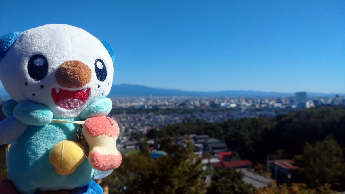 haijima_x's tweet photo. ポケぬい散歩👣

おはようございます
ﾐｼﾞｭ~🦦🚰
ﾘﾏﾘﾏ🌰🌱

秋晴れ
雲ひとつない☀️
今日はおやすみ https://t.co/Jxsf20fPDr