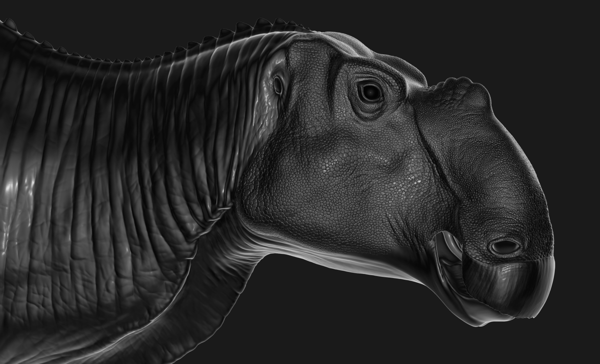 XtinctDesign's tweet photo. Gryposaurus WIP https://t.co/vp2KrJas3E