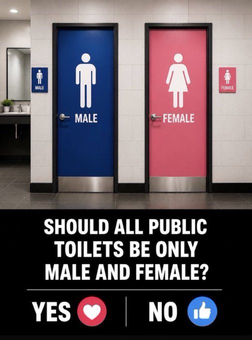 Ellie232wk's tweet photo. Should ALL public Toilets be only Male and Female, Yes/No? https://t.co/BVx9OxWjPG