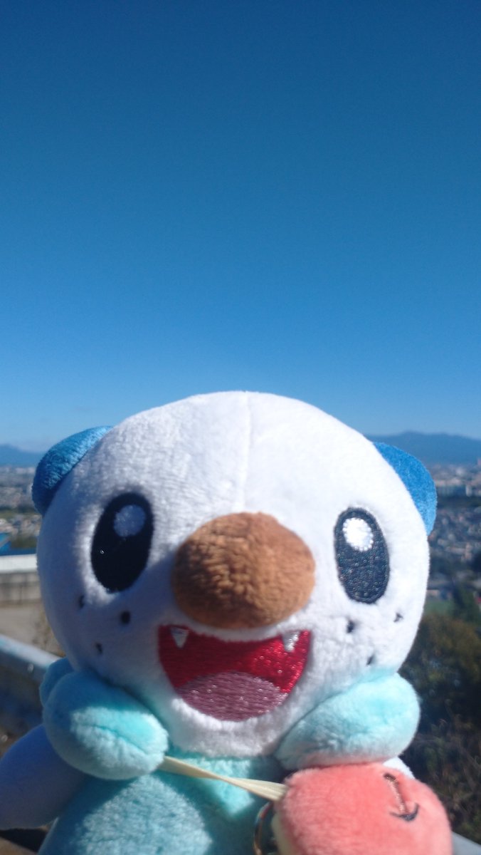 haijima_x's tweet photo. ポケぬい散歩👣

おはようございます
ﾐｼﾞｭ~🦦🚰
ﾘﾏﾘﾏ🌰🌱

秋晴れ
雲ひとつない☀️
今日はおやすみ https://t.co/Jxsf20fPDr