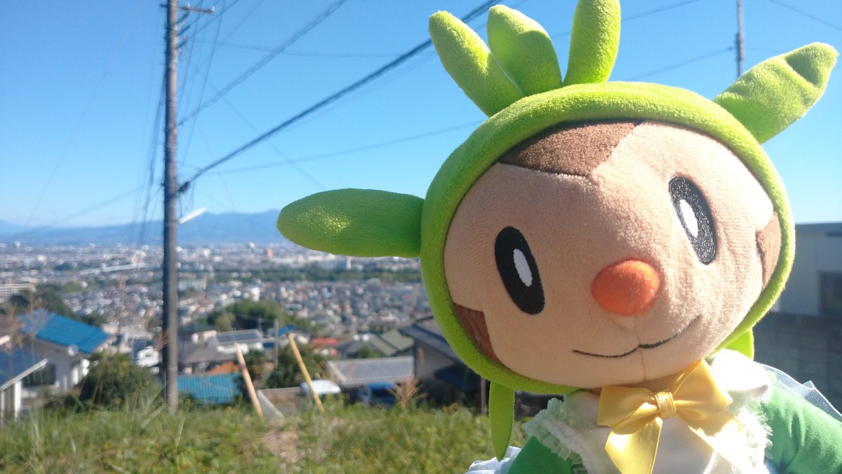 haijima_x's tweet photo. ポケぬい散歩👣

おはようございます
ﾐｼﾞｭ~🦦🚰
ﾘﾏﾘﾏ🌰🌱

秋晴れ
雲ひとつない☀️
今日はおやすみ https://t.co/Jxsf20fPDr