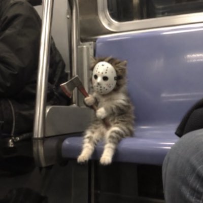 DavidOGxd's tweet photo. Feliz Juawelin! #Halloween #Cat #Scary #NewProfilePic https://t.co/fI4nYC0Bbh